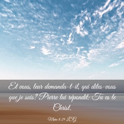 Picture 03 - Marc 8:29 LSG - Et vous, leur demanda-t-il, qui dites-vous que je - Bible Verse Picture