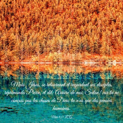 Picture 03 - Marc 8:33 LSG - Mais Jésus, se retournant et regardant ses - Bible Verse Picture