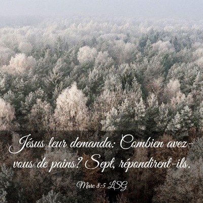 Picture 03 - Marc 8:5 LSG - Jésus leur demanda: Combien avez-vous de pains? - Bible Verse Picture