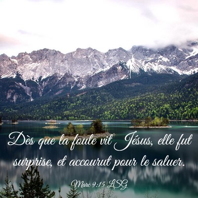 Picture 03 - Marc 9:15 LSG - Dès que la foule vit Jésus, elle fut surprise, - Bible Verse Picture