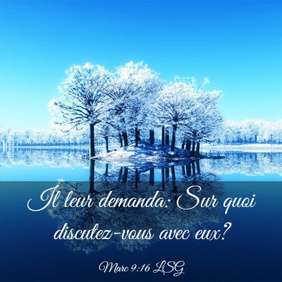 Picture 03 - Marc 9:16 LSG - Il leur demanda: Sur quoi discutez-vous avec - Bible Verse Picture