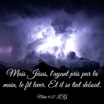 Picture 03 - Marc 9:27 LSG - Mais Jésus, l'ayant pris par la main, le fit - Bible Verse Picture