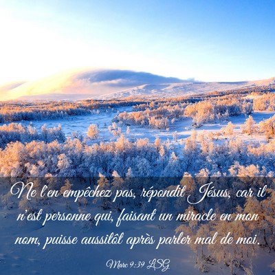 Picture 03 - Marc 9:39 LSG - Ne l'en empêchez pas, répondit Jésus, car il - Bible Verse Picture