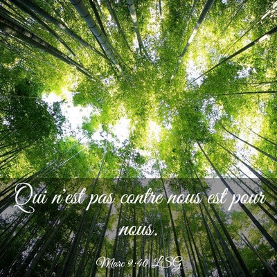 Picture 03 - Marc 9:40 LSG - Qui n'est pas contre nous est pour - Bible Verse Picture