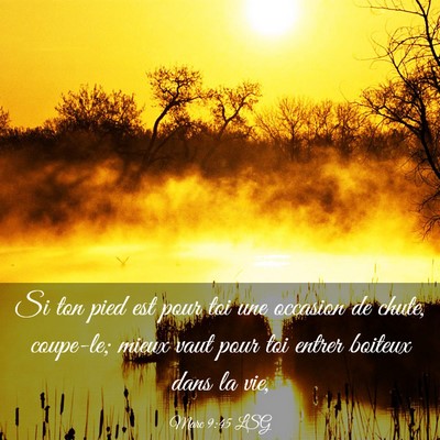 Picture 03 - Marc 9:45 LSG - Si ton pied est pour toi une occasion de chute, - Bible Verse Picture