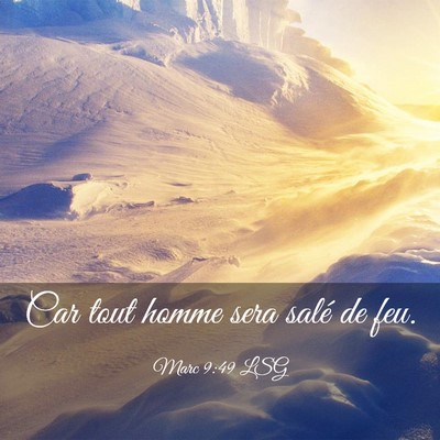 Picture 03 - Marc 9:49 LSG - Car tout homme sera salé de - Bible Verse Picture
