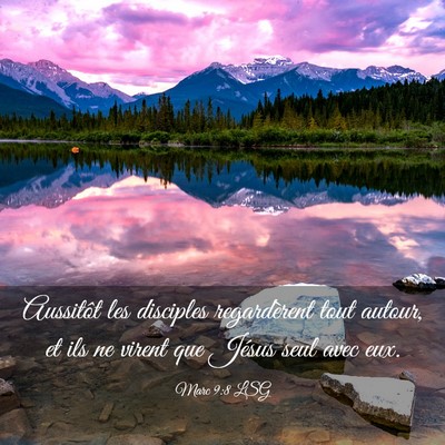 Picture 03 - Marc 9:8 LSG - Aussitôt les disciples regardèrent tout autour, - Bible Verse Picture