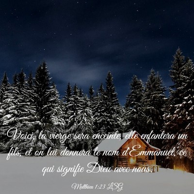 Picture 03 - Matthieu 1:23 LSG - Voici, la vierge sera enceinte, elle enfantera un - Bible Verse Picture