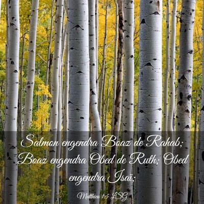 Picture 03 - Matthieu 1:5 LSG - Salmon engendra Boaz de Rahab; Boaz engendra Obed - Bible Verse Picture