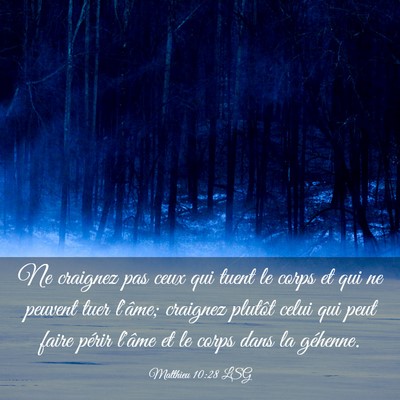 Picture 03 - Matthieu 10:28 LSG - Ne craignez pas ceux qui tuent le corps et qui ne - Bible Verse Picture