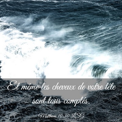 Picture 03 - Matthieu 10:30 LSG - Et même les cheveux de votre tête sont tous - Bible Verse Picture