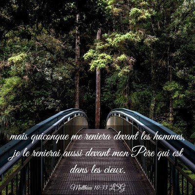 Picture 03 - Matthieu 10:33 LSG - mais quiconque me reniera devant les hommes, je - Bible Verse Picture