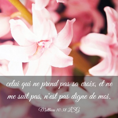 Picture 03 - Matthieu 10:38 LSG - celui qui ne prend pas sa croix, et ne me suit - Bible Verse Picture