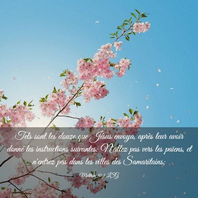 Picture 03 - Matthieu 10:5 LSG - Tels sont les douze que Jésus envoya, après - Bible Verse Picture