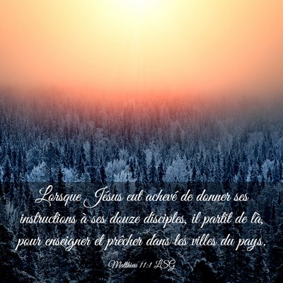 Picture 03 - Matthieu 11:1 LSG - Lorsque Jésus eut achevé de donner ses - Bible Verse Picture