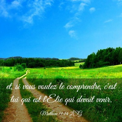 Picture 03 - Matthieu 11:14 LSG - et, si vous voulez le comprendre, c'est lui qui - Bible Verse Picture