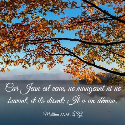 Picture 03 - Matthieu 11:18 LSG - Car Jean est venu, ne mangeant ni ne buvant, et - Bible Verse Picture