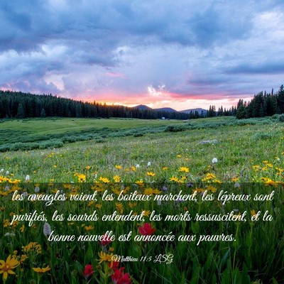 Picture 03 - Matthieu 11:5 LSG - les aveugles voient, les boiteux marchent, les - Bible Verse Picture