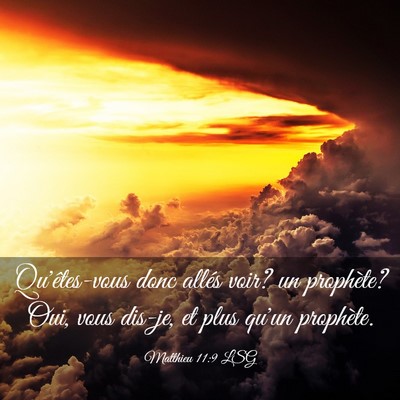Picture 03 - Matthieu 11:9 LSG - Qu'êtes-vous donc allés voir? un prophète? - Bible Verse Picture