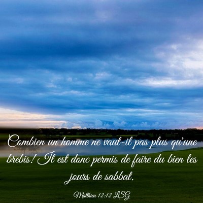 Picture 03 - Matthieu 12:12 LSG - Combien un homme ne vaut-il pas plus qu'une - Bible Verse Picture