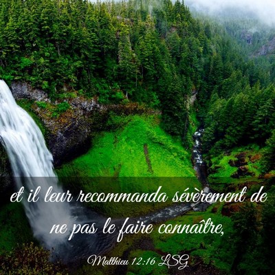Picture 03 - Matthieu 12:16 LSG - et il leur recommanda sévèrement de ne pas le - Bible Verse Picture