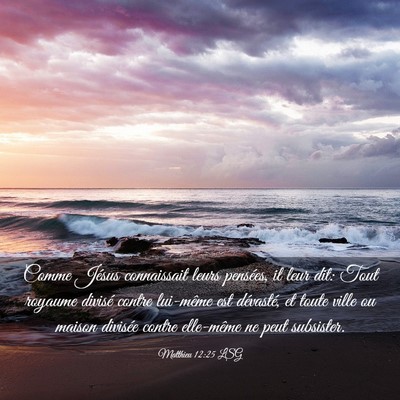 Picture 03 - Matthieu 12:25 LSG - Comme Jésus connaissait leurs pensées, il leur - Bible Verse Picture