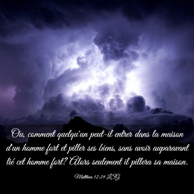 Picture 03 - Matthieu 12:29 LSG - Ou, comment quelqu'un peut-il entrer dans la - Bible Verse Picture
