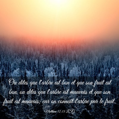 Picture 03 - Matthieu 12:33 LSG - Ou dites que l'arbre est bon et que son fruit est - Bible Verse Picture
