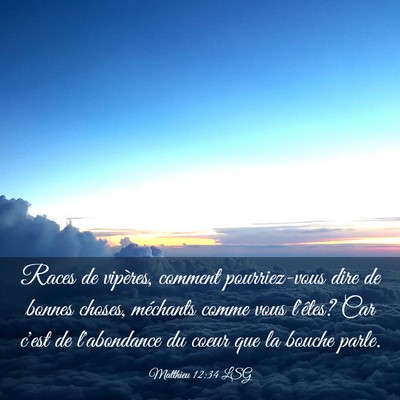 Picture 03 - Matthieu 12:34 LSG - Races de vipères, comment pourriez-vous dire de - Bible Verse Picture