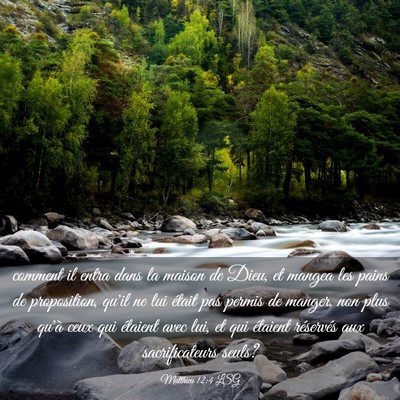 Picture 03 - Matthieu 12:4 LSG - comment il entra dans la maison de Dieu, et - Bible Verse Picture