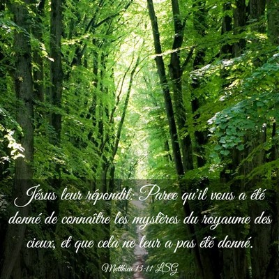 Picture 03 - Matthieu 13:11 LSG - Jésus leur répondit: Parce qu'il vous a été - Bible Verse Picture