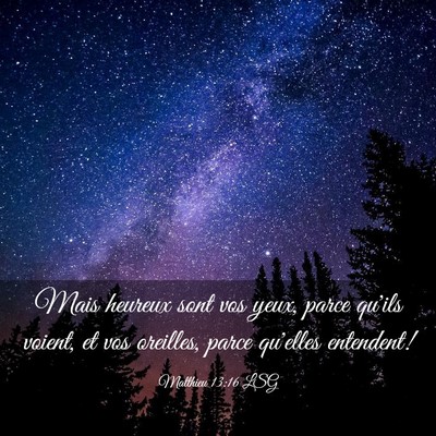 Picture 03 - Matthieu 13:16 LSG - Mais heureux sont vos yeux, parce qu'ils voient, - Bible Verse Picture