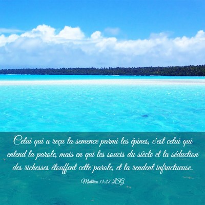 Picture 03 - Matthieu 13:22 LSG - Celui qui a reçu la semence parmi les épines, - Bible Verse Picture