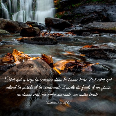 Picture 03 - Matthieu 13:23 LSG - Celui qui a reçu la semence dans la bonne terre, - Bible Verse Picture