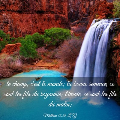 Picture 03 - Matthieu 13:38 LSG - le champ, c'est le monde; la bonne semence, ce - Bible Verse Picture