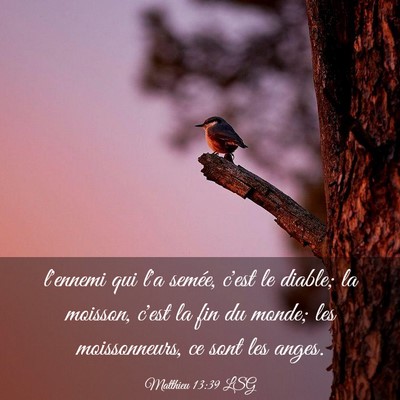 Picture 03 - Matthieu 13:39 LSG - l'ennemi qui l'a semée, c'est le diable; la - Bible Verse Picture
