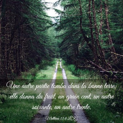 Picture 03 - Matthieu 13:8 LSG - Une autre partie tomba dans la bonne terre: elle - Bible Verse Picture