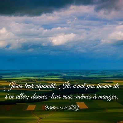 Picture 03 - Matthieu 14:16 LSG - Jésus leur répondit: Ils n'ont pas besoin de - Bible Verse Picture