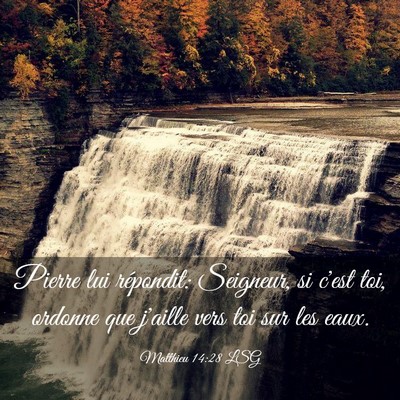 Picture 03 - Matthieu 14:28 LSG - Pierre lui répondit: Seigneur, si c'est toi, - Bible Verse Picture