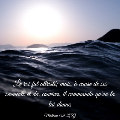 Picture 03 - Matthieu 14:9 LSG - Le roi fut attristé; mais, à cause de ses - Bible Verse Picture
