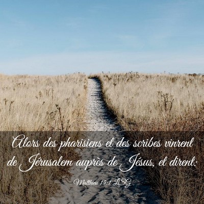 Picture 03 - Matthieu 15:1 LSG - Alors des pharisiens et des scribes vinrent de - Bible Verse Picture