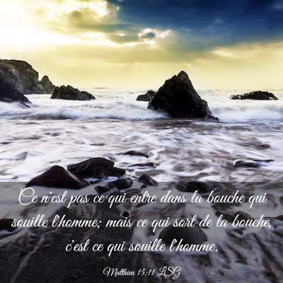 Picture 03 - Matthieu 15:11 LSG - Ce n'est pas ce qui entre dans la bouche qui - Bible Verse Picture