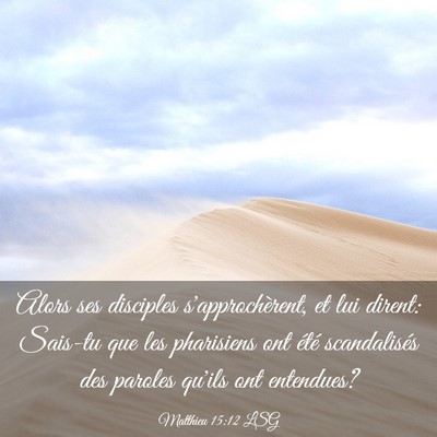 Picture 03 - Matthieu 15:12 LSG - Alors ses disciples s'approchèrent, et lui - Bible Verse Picture