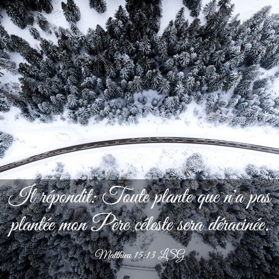Picture 03 - Matthieu 15:13 LSG - Il répondit: Toute plante que n'a pas plantée - Bible Verse Picture