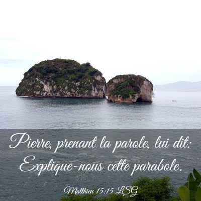 Picture 03 - Matthieu 15:15 LSG - Pierre, prenant la parole, lui dit: Explique-nous - Bible Verse Picture