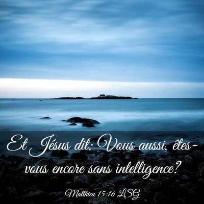Picture 03 - Matthieu 15:16 LSG - Et Jésus dit: Vous aussi, êtes-vous encore sans - Bible Verse Picture