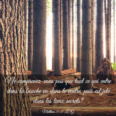 Picture 03 - Matthieu 15:17 LSG - Ne comprenez-vous pas que tout ce qui entre dans - Bible Verse Picture
