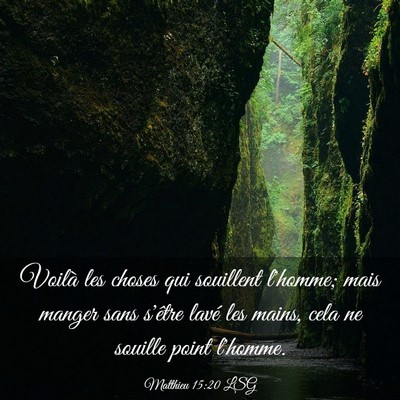 Picture 03 - Matthieu 15:20 LSG - Voilà les choses qui souillent l'homme; mais - Bible Verse Picture