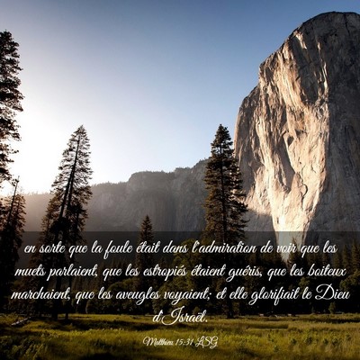 Picture 03 - Matthieu 15:31 LSG - en sorte que la foule était dans l'admiration de - Bible Verse Picture