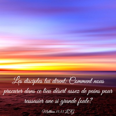 Picture 03 - Matthieu 15:33 LSG - Les disciples lui dirent: Comment nous procurer - Bible Verse Picture
